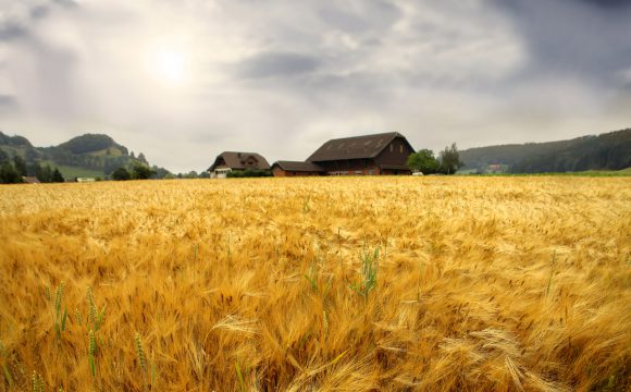 Farms Under Threat: No farms, no food, no future Farms Under Threat: No farms, no food, no future
