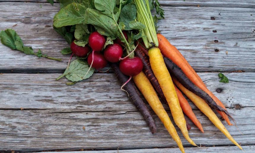 USDA is seeking nominations for Fruit and Veg Industry Advisory Committee USDA is seeking nominations for Fruit and Veg Industry Advisory Committee