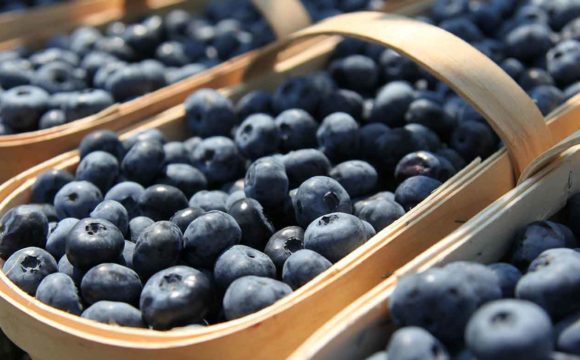 Can’t find Jersey-fresh organic blueberries? Can’t find Jersey-fresh organic blueberries?