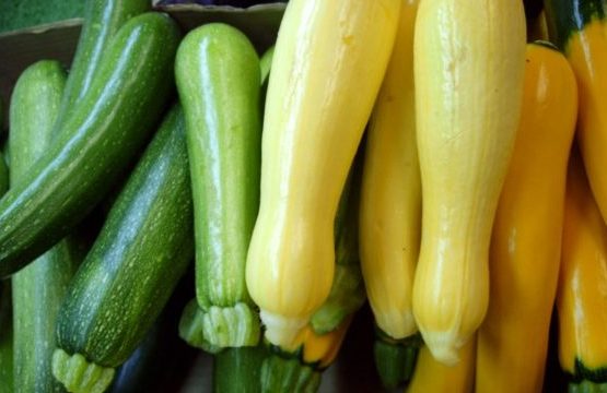 Student-farmers donate crop to ‘Farmers Against Hunger’ | NJ.com Student-farmers donate crop to ‘Farmers Against Hunger’ | NJ.com