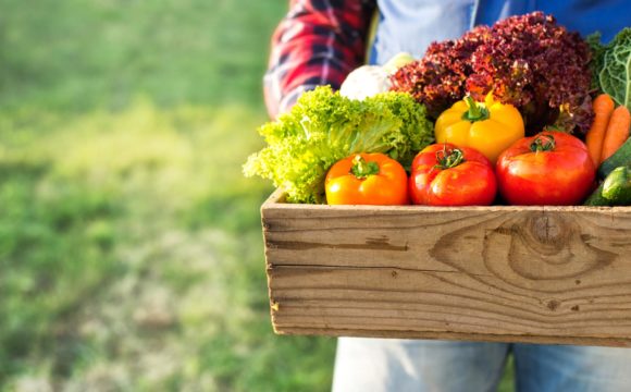 “NJ takes steps to keep farmland in the family” from NJTV “NJ takes steps to keep farmland in the family” from NJTV