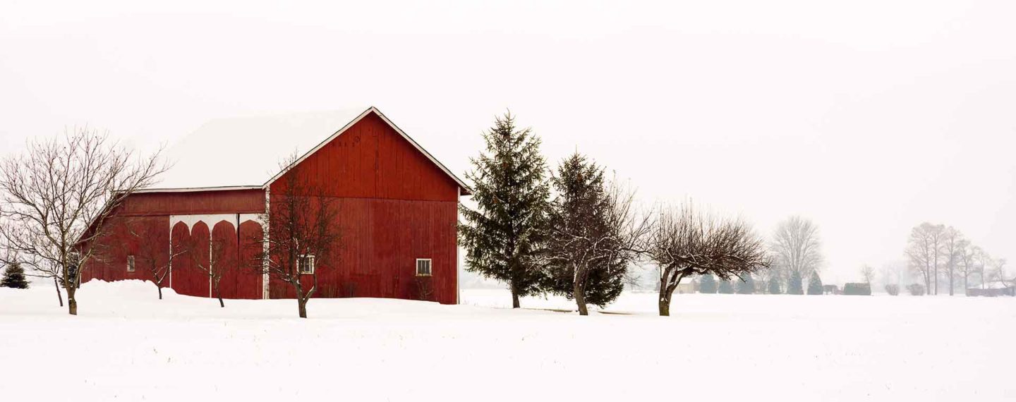 Winter Conference