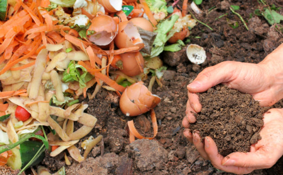 Backyard Composting Backyard Composting