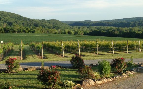 Young Farmers Wanted: 60 Acres to Lease Young Farmers Wanted: 60 Acres to Lease