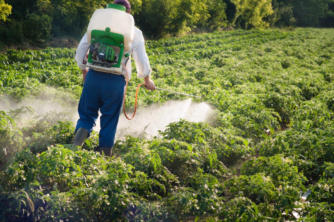 Испытания пестицидов. Пестициды. Пестициды в сельском хозяйстве. Обработка полей пестицидами. Ядохимикаты в сельском хозяйстве.