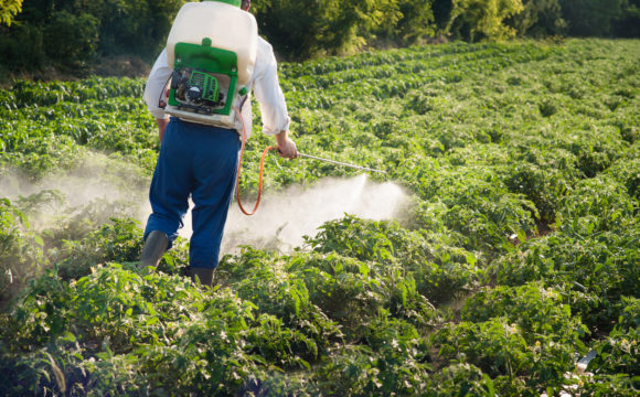 The toxicity of weedkiller products The toxicity of weedkiller products