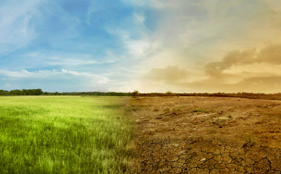 We need regenerative farming, not geoengineering | Guardian Sustainable Business | The Guardian We need regenerative farming, not geoengineering | Guardian Sustainable Business | The Guardian