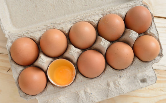 In Pursuit of Excellence in Eggs In Pursuit of Excellence in Eggs
