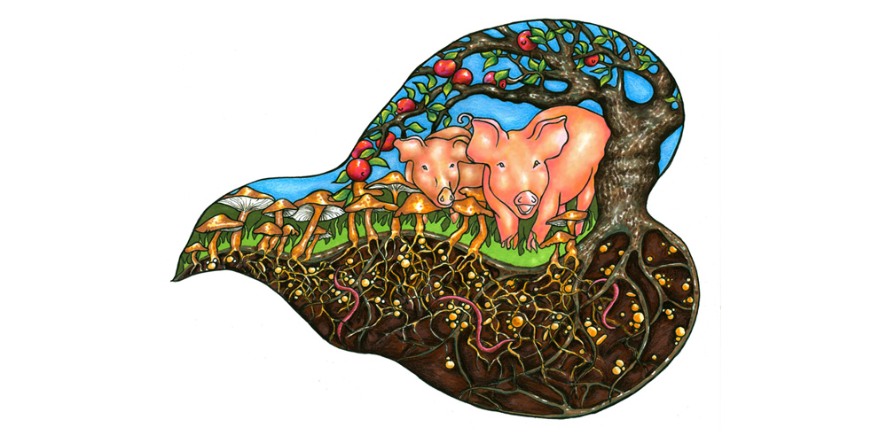 New Jersey Regenerative Agriculture