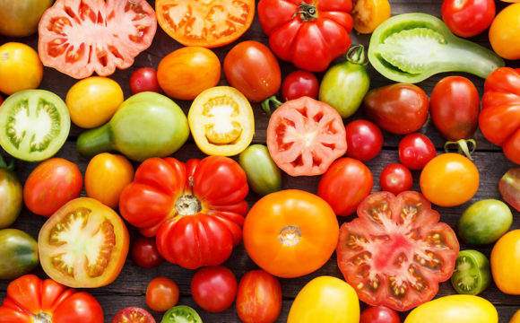 NOFA-NJ and Princeton Public Library Team Up For Exciting Celebration of Tomatoes NOFA-NJ and Princeton Public Library Team Up For Exciting Celebration of Tomatoes
