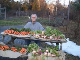 Introduction to Organic Gardening by Al Johnson